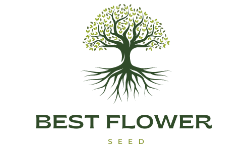 Best Flower Seeds